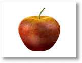 Apple 3D Model